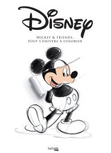 THE ART OF MICKEY, DONALD AND FRIENDS