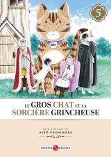 LE GROS CHAT ET LA SORCIERE GRINCHEUSE   T05